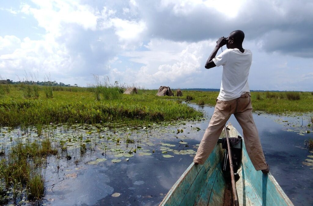 Mabamba Swamp on Lake Victoria Uganda