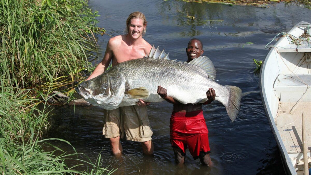 Nile Perch Fishing Safaris in Uganda