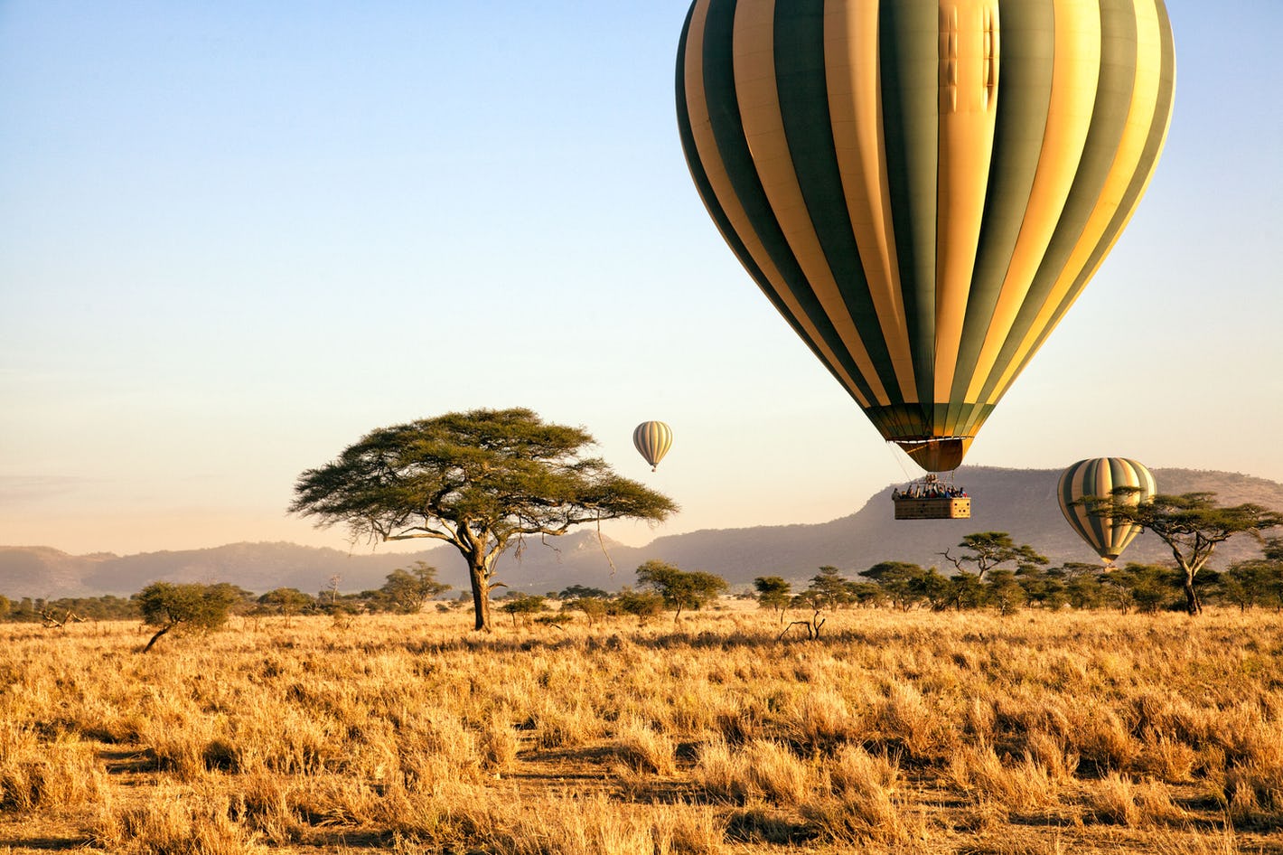 Serengeti Hot Air Balloon Safari in Tanzania