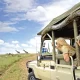Set Departure Uganda Safaris - Safety on an African Safari