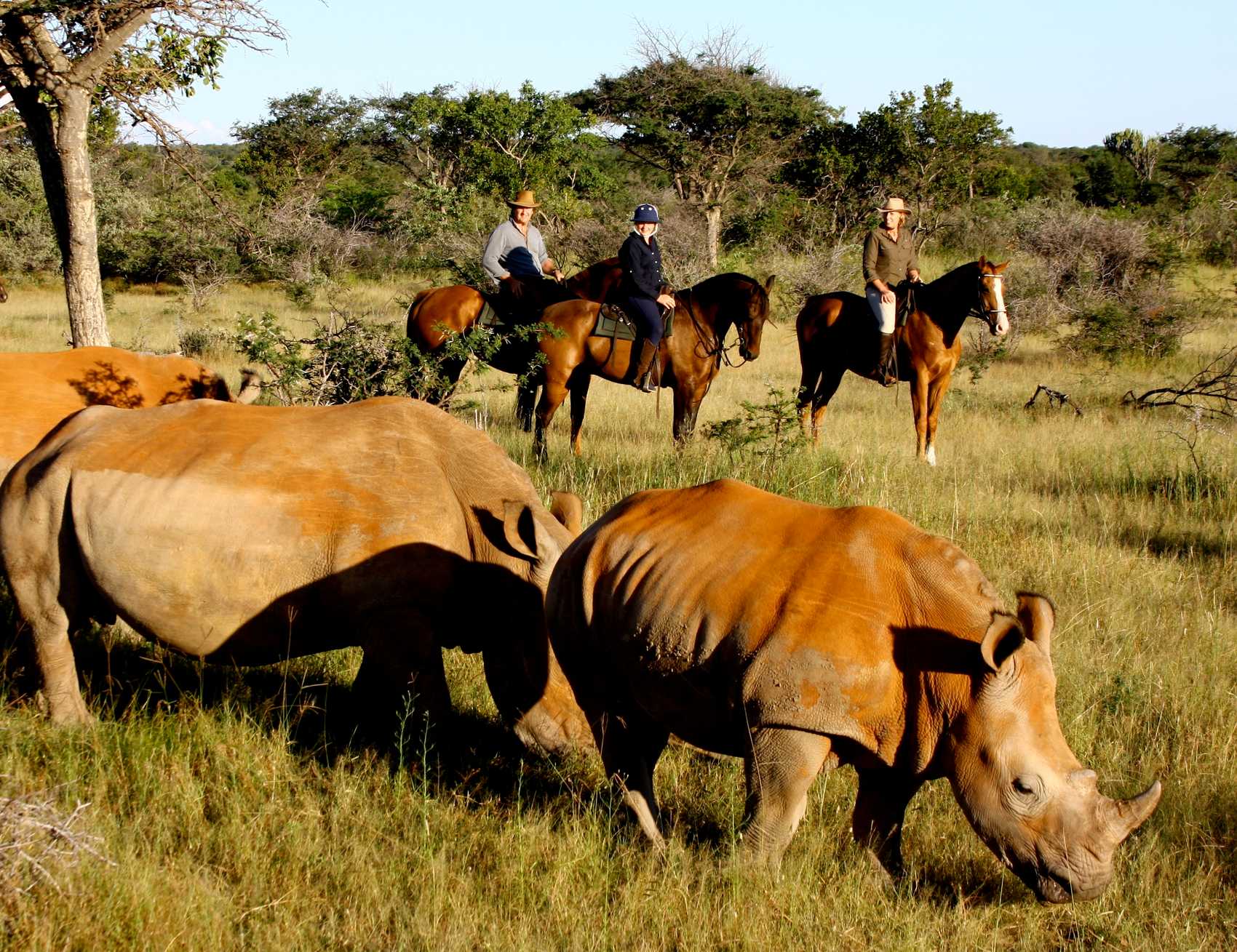 African Safaris in May - What to Expect on African Safari?v