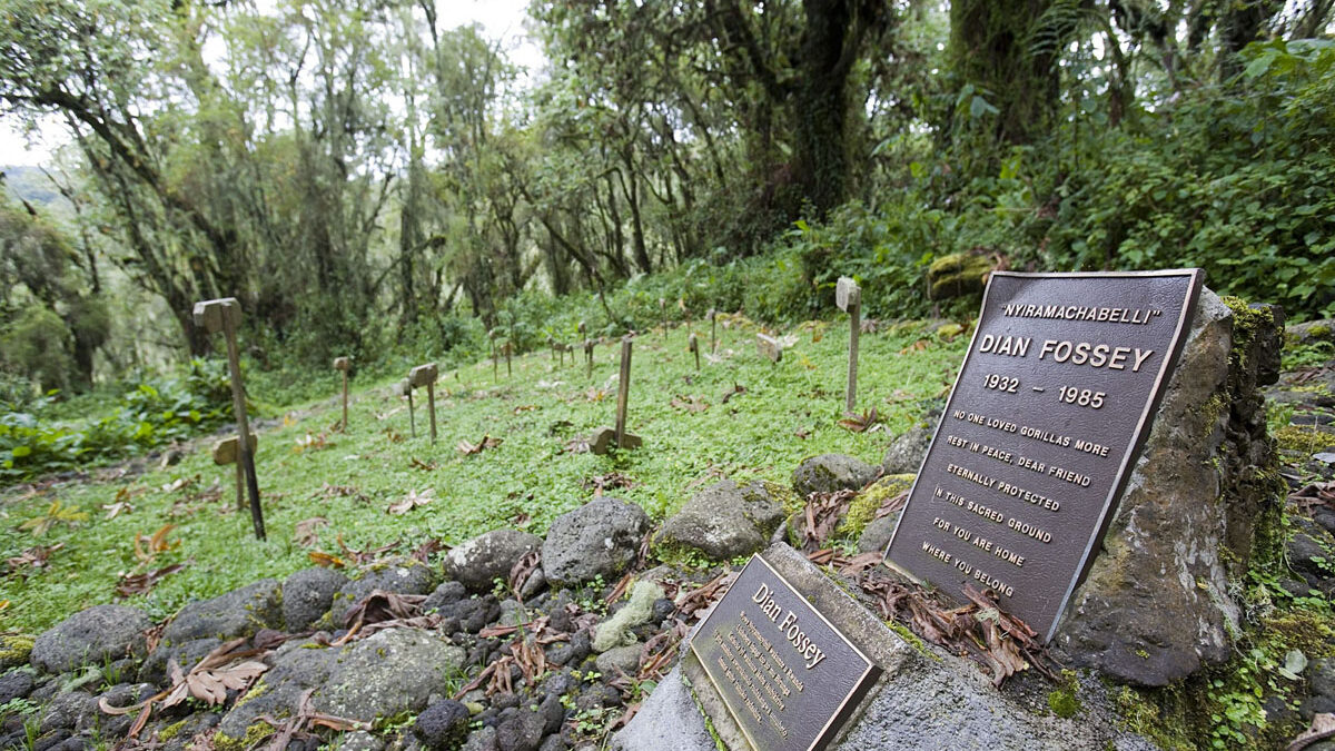 Dian Fossey Grave Hike Rwanda