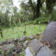 Dian Fossey Grave Hike Rwanda