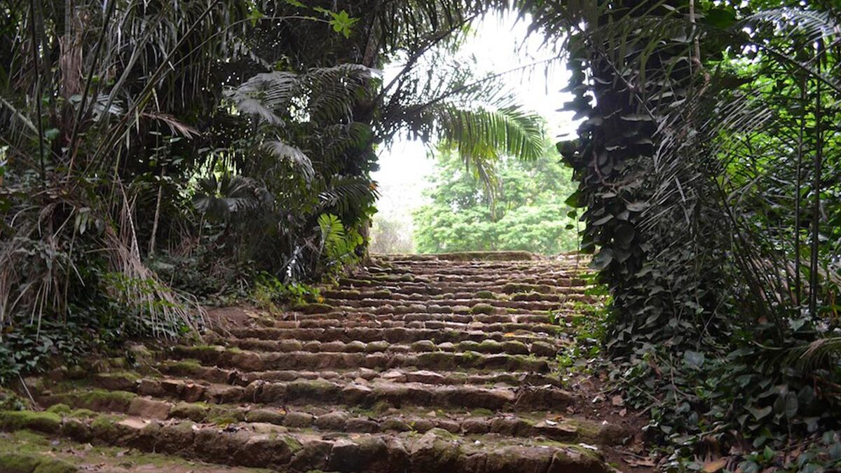 Entebbe Botanical Gardens