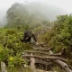 Hiking Mount Sabinyo Volcano in Uganda