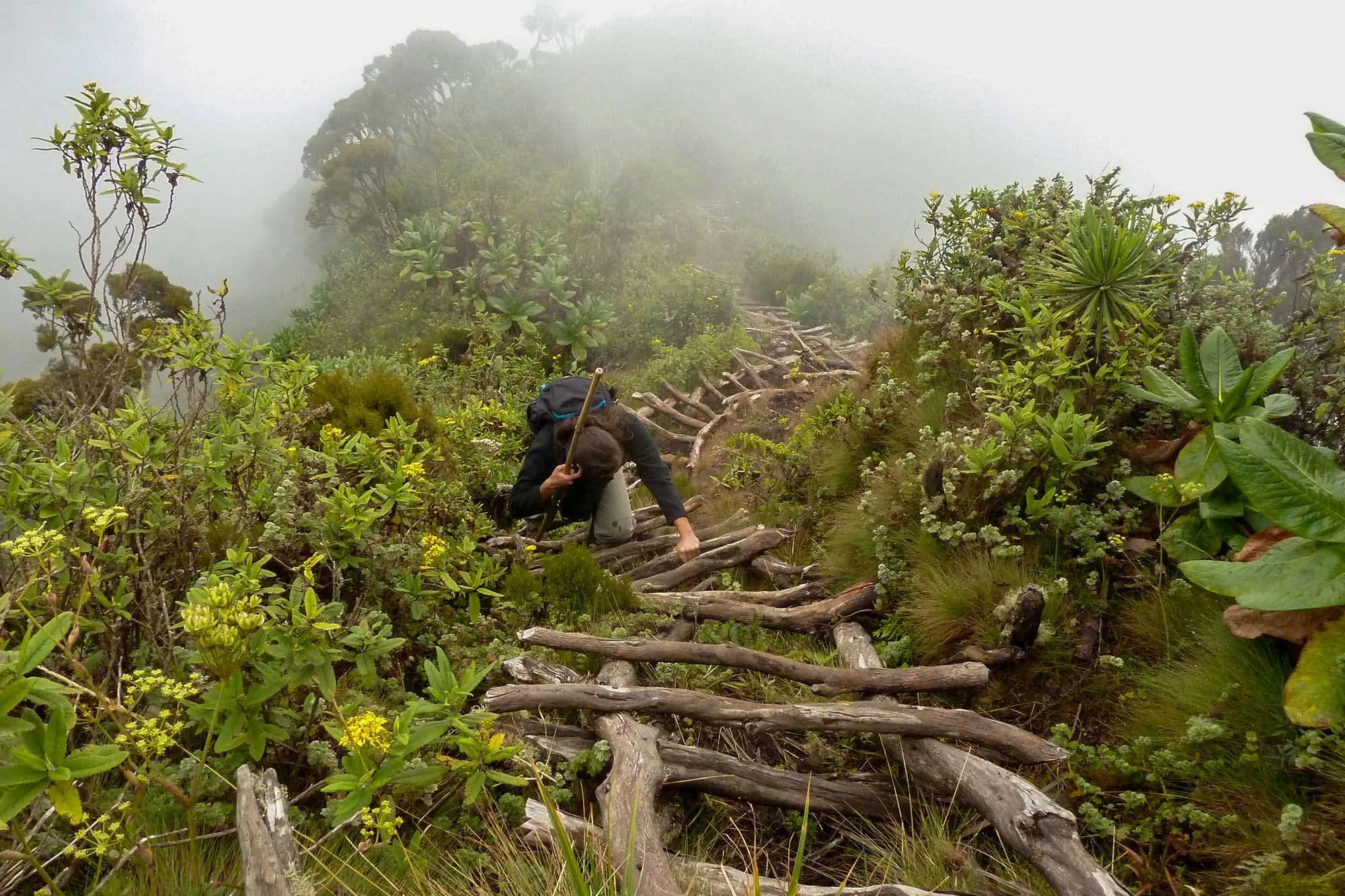 Hiking Mount Sabinyo Volcano in Uganda - Hiking Mount Sabyinyo