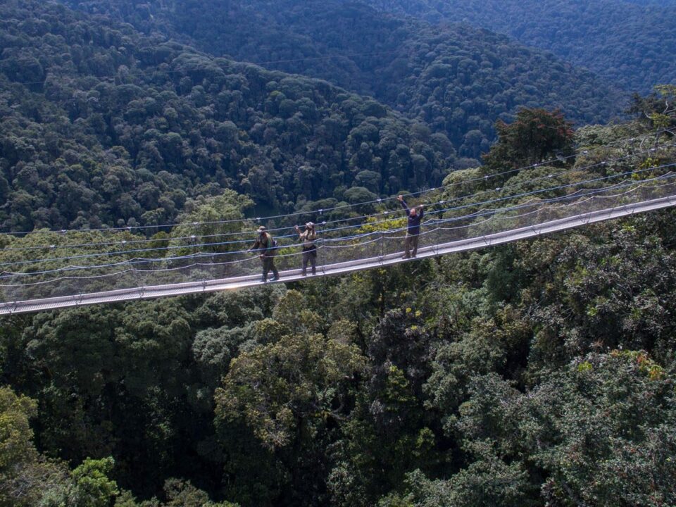 How to get to Nyungwe Forest National Park Rwanda