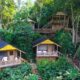 Luxury Buhoma Lodge