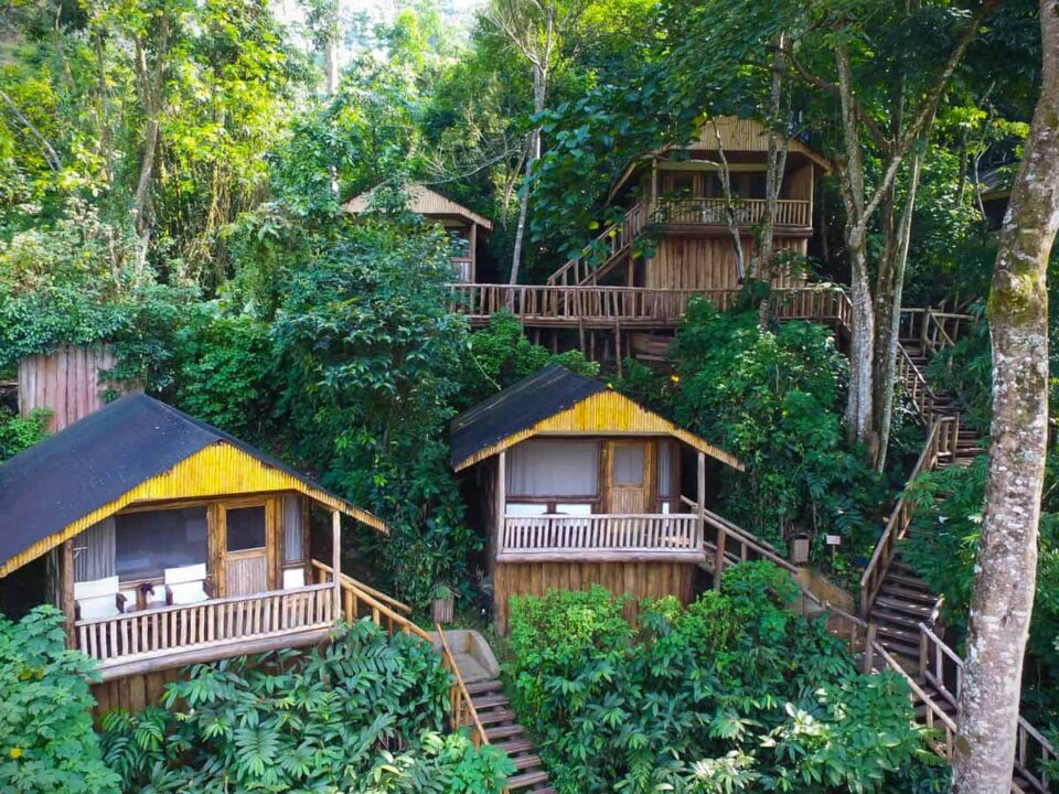 Best Lodges and Campsites in Buhoma, Bwindi