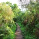 Nature Walks in Bigodi Wetland Sanctuary