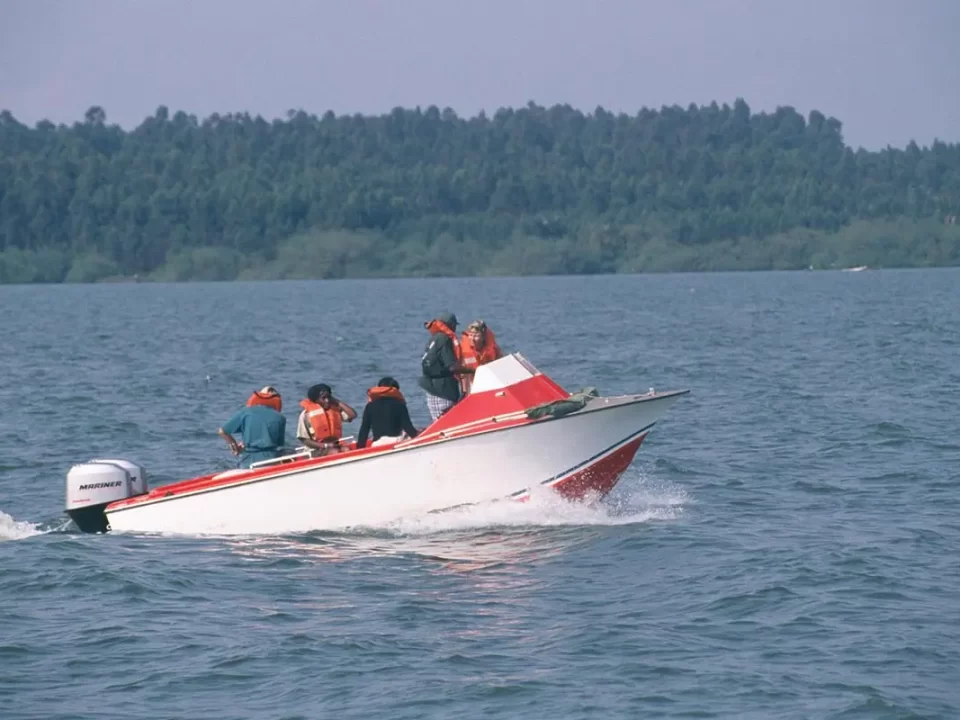 Ngamba Island Boat Excursion