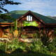Budget Safari Lodges in Buhoma sector
