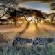 Top East African Safaris in June