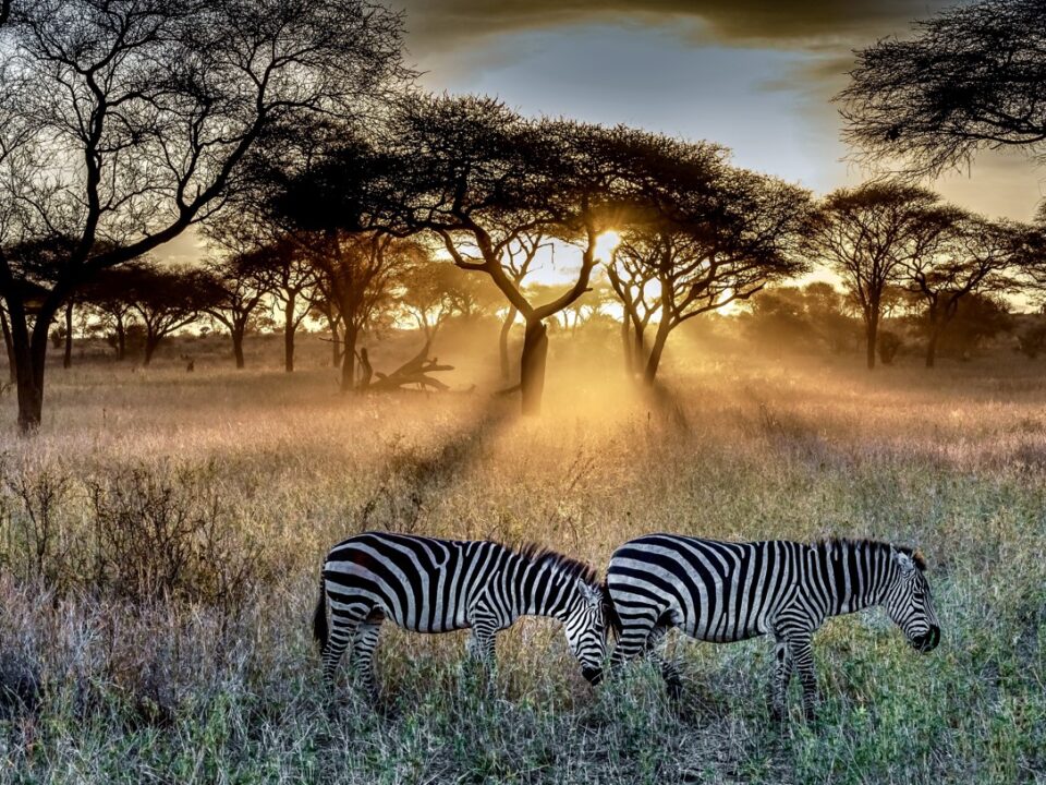 Top East African Safaris in June