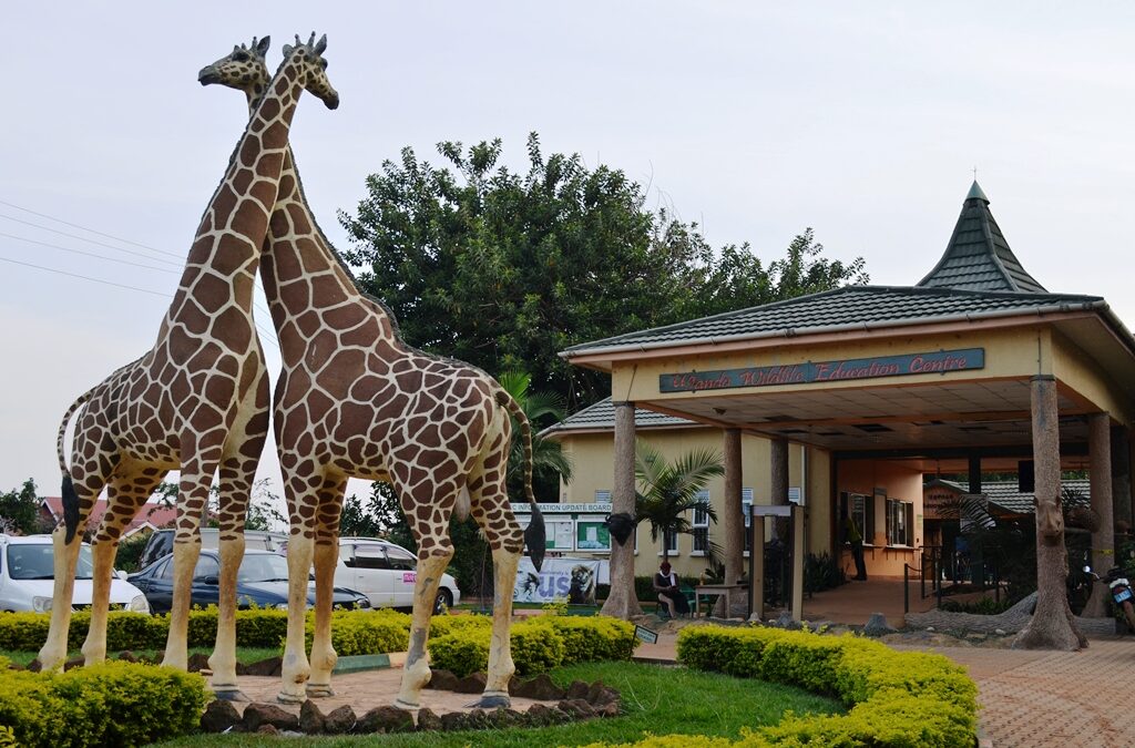 Tour Operator in Entebbe - Entebbe Day Trips and Tours