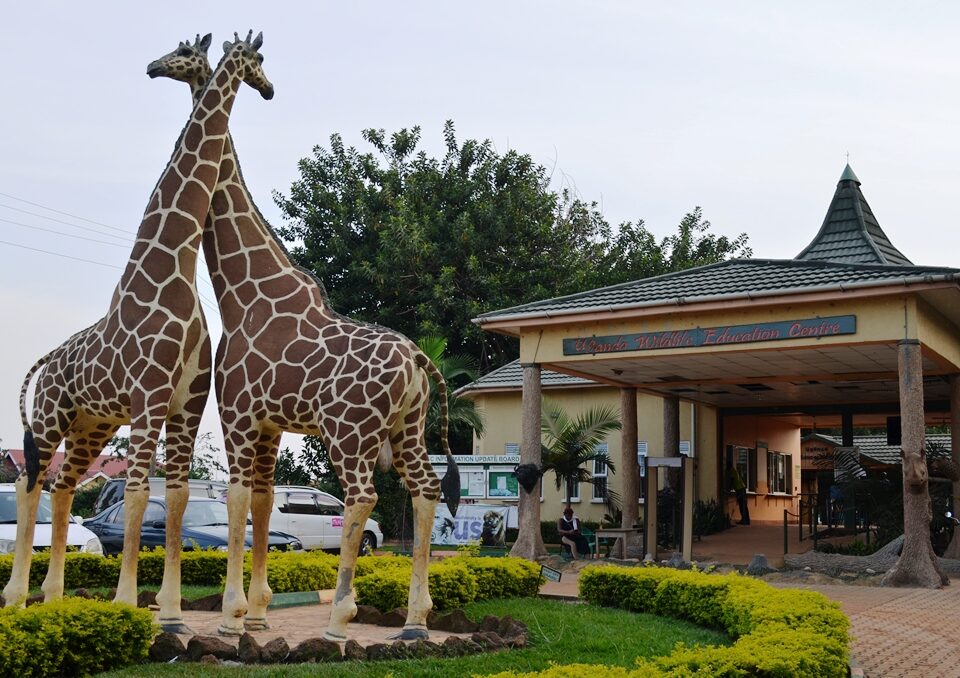 Tour Operator in Entebbe