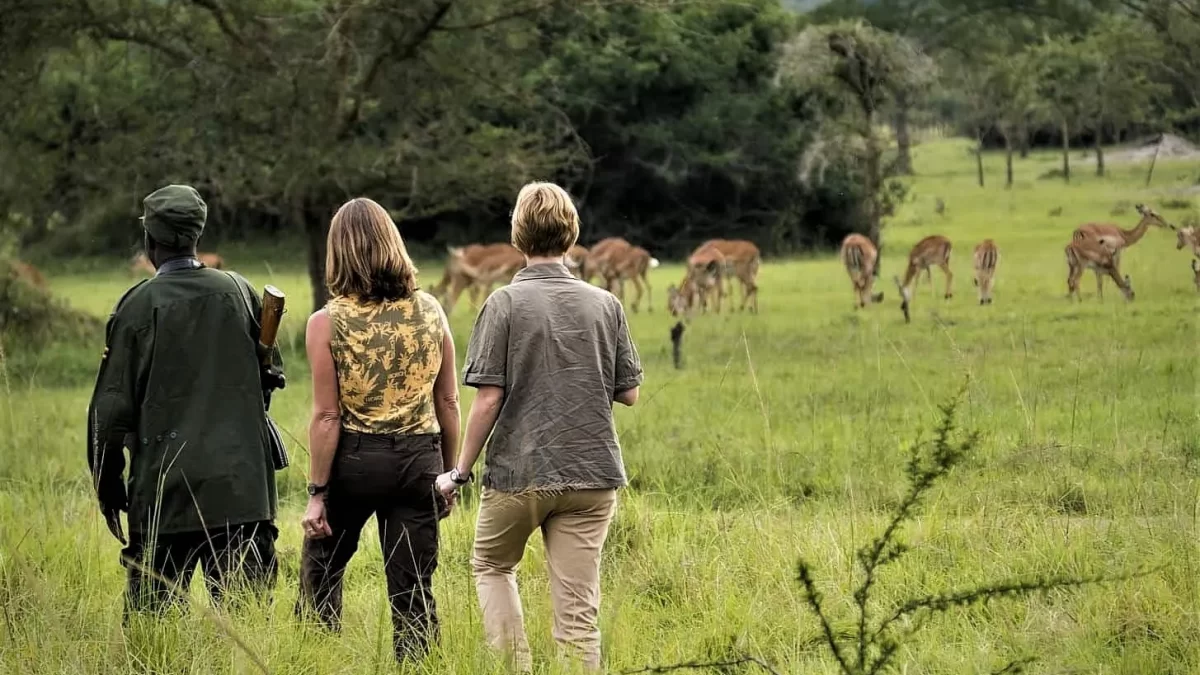 Walking safaris in Uganda