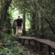 Bigodi Wetland Sanctuary Walks and Tours