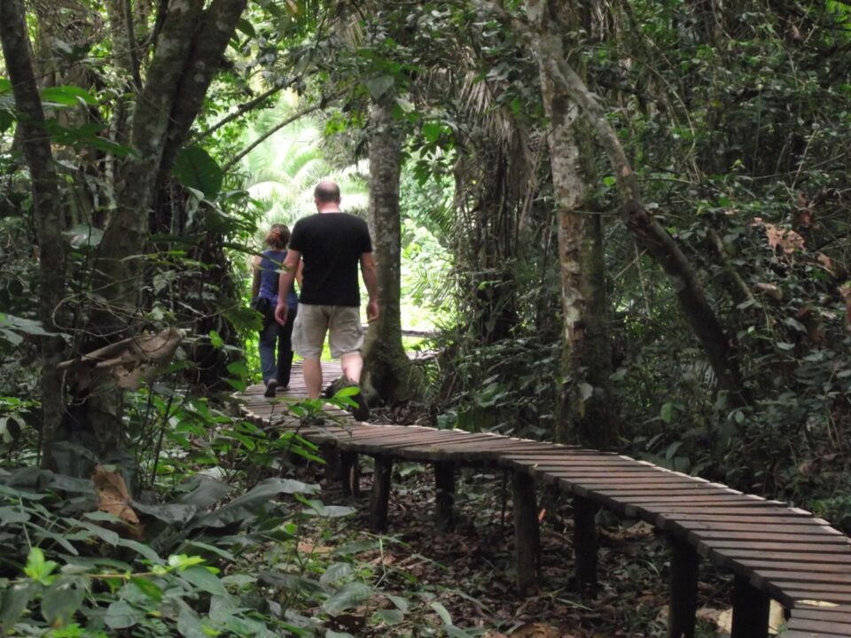 Bigodi Wetland Sanctuary Walks and Tours