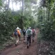 Guided Forest Walks in Kibale National Park