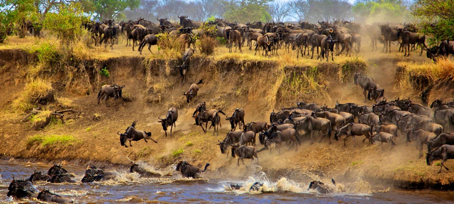 The Annual Wildebeest Migration Safari - Great Wildebeest Migration