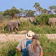 Top Walking Safaris in Africa