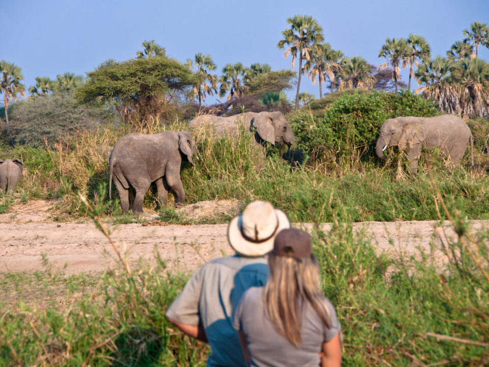 Top Walking Safaris in Africa