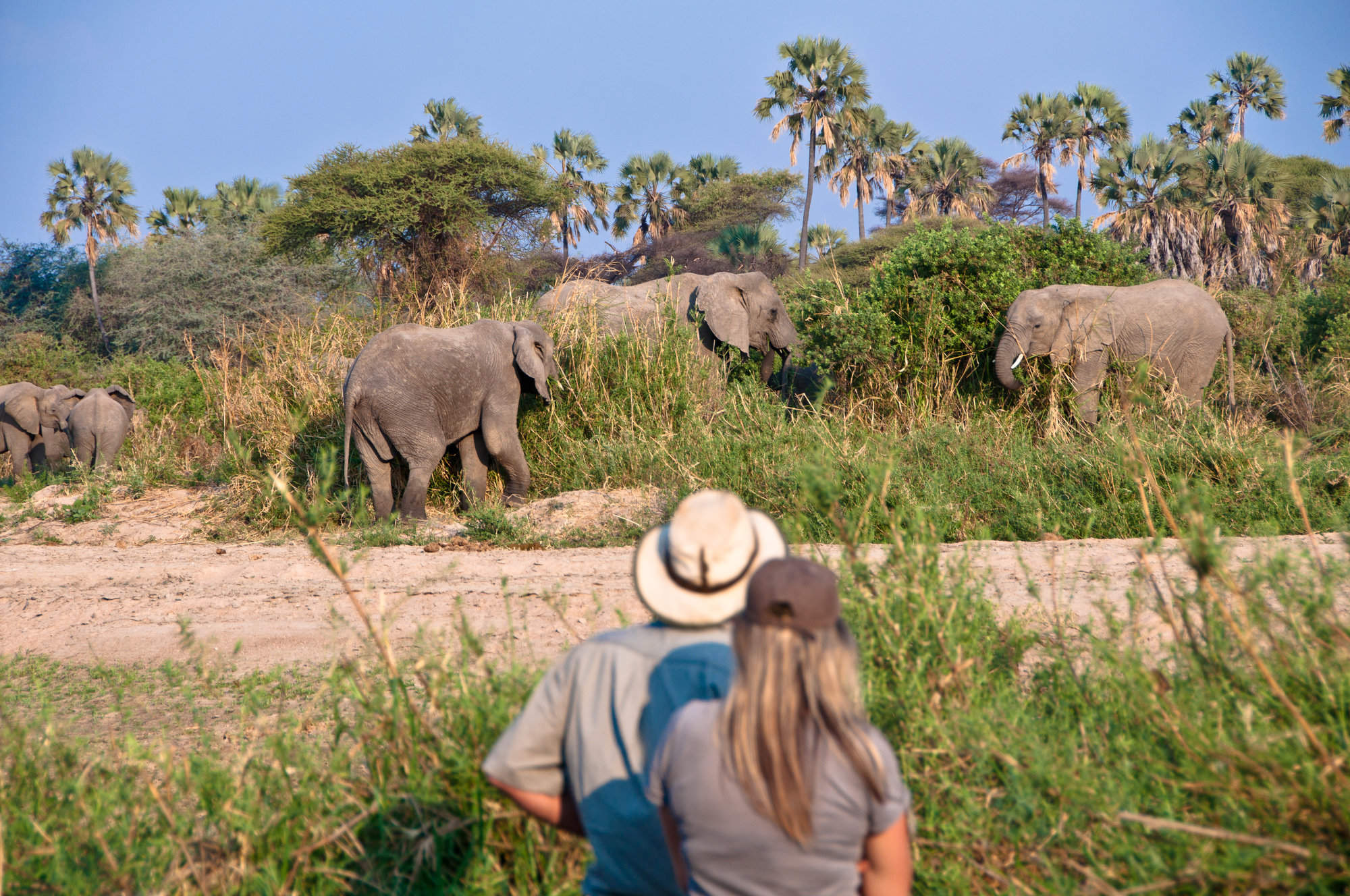 Top Walking Safaris in Africa