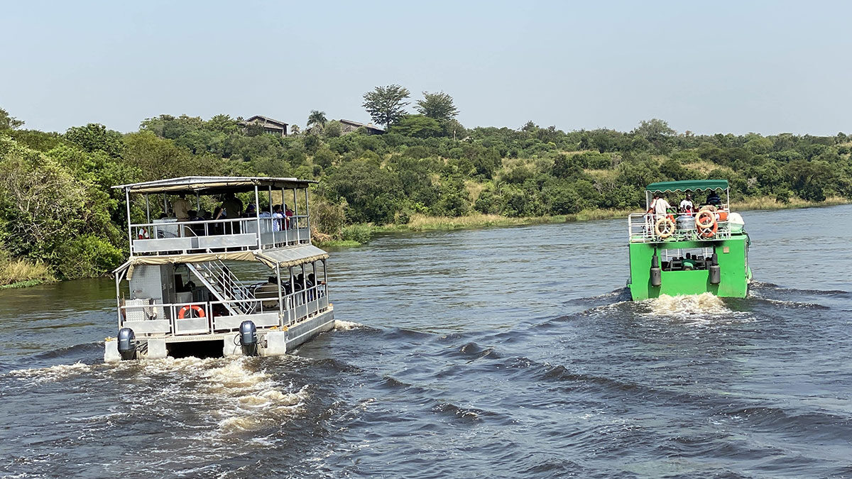 1 Day Murchison Falls Safari Tour from Kampala