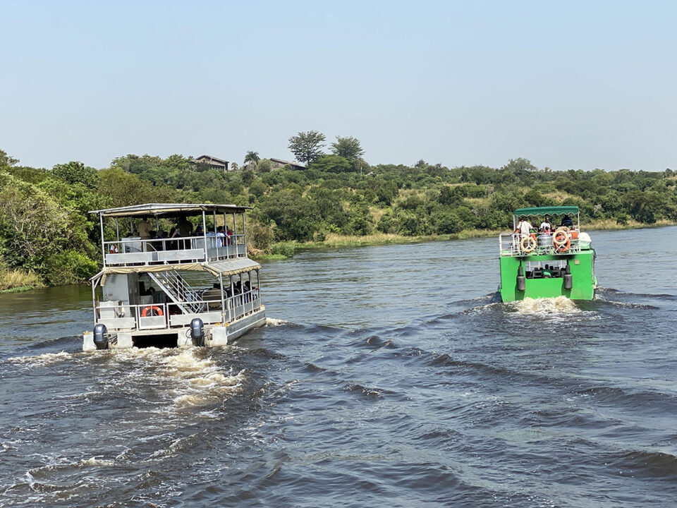 1 Day Murchison Falls Safari Tour from Kampala