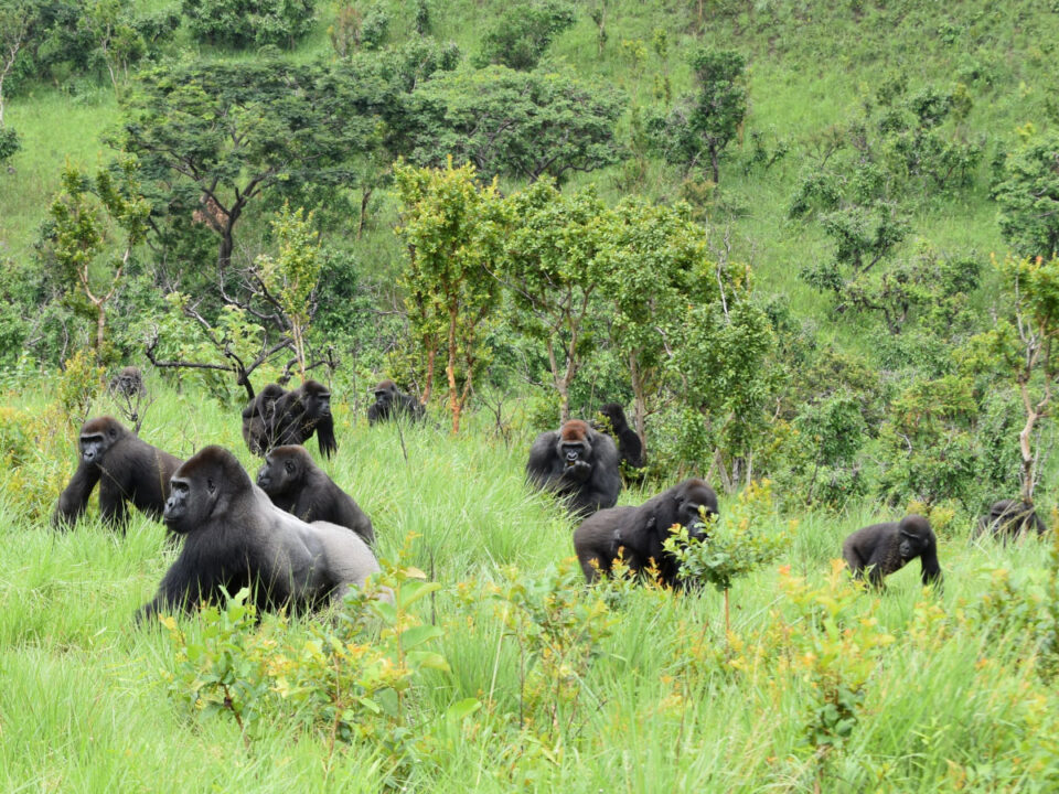 Which Land Border is Safe and Easy to use to cross to Congo