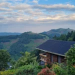 Luxury Safari Lodges in Ruhija for Your Gorilla Trekking
