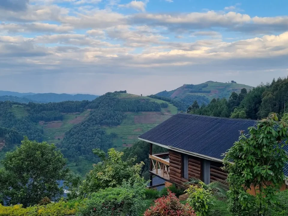 Luxury Safari Lodges in Ruhija for Your Gorilla Trekking