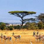 Visiting South Sudan in 2025 - 2026