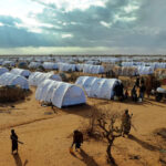 Your Guide to Volunteering in Dadaab Refugee Camps