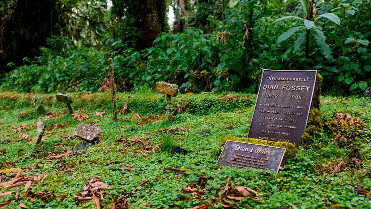 Tour the Dian Fossey Grave Site and Karisoke Research Center