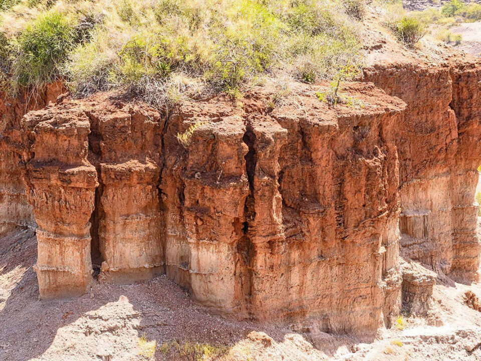 Olduvai Gorge Hike