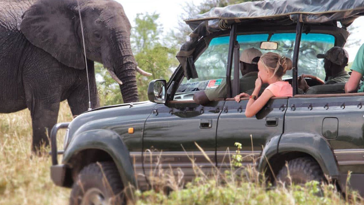 Open-Sided Vehicle Game Drives in Serengeti