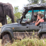 Open-Sided Vehicle Game Drives in Serengeti