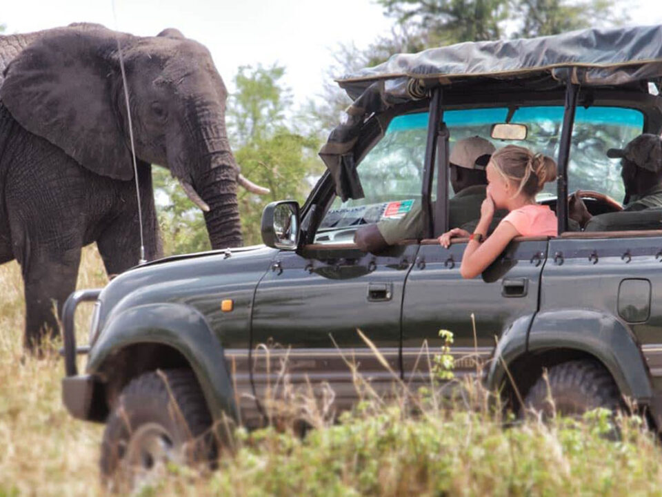 Open-Sided Vehicle Game Drives in Serengeti