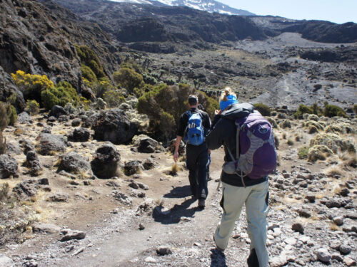 kilimanjaro hike