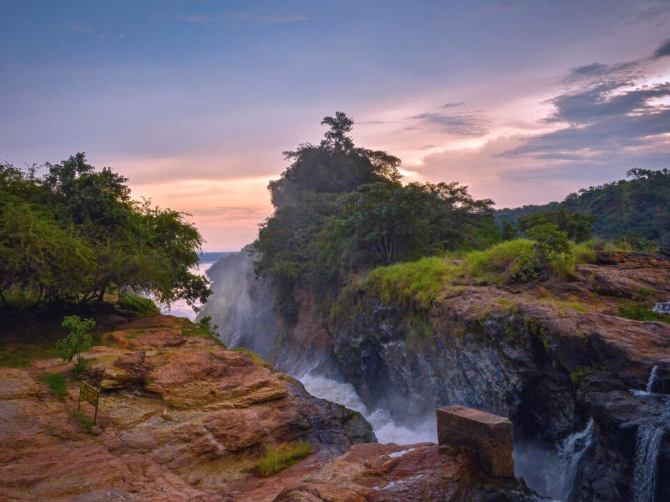 7 Day Kidepo Valley and Murchison Falls Safari - Trusted Tour Operators in Masindi - Entrance Fees and Safari Costs for Murchison Falls National Park