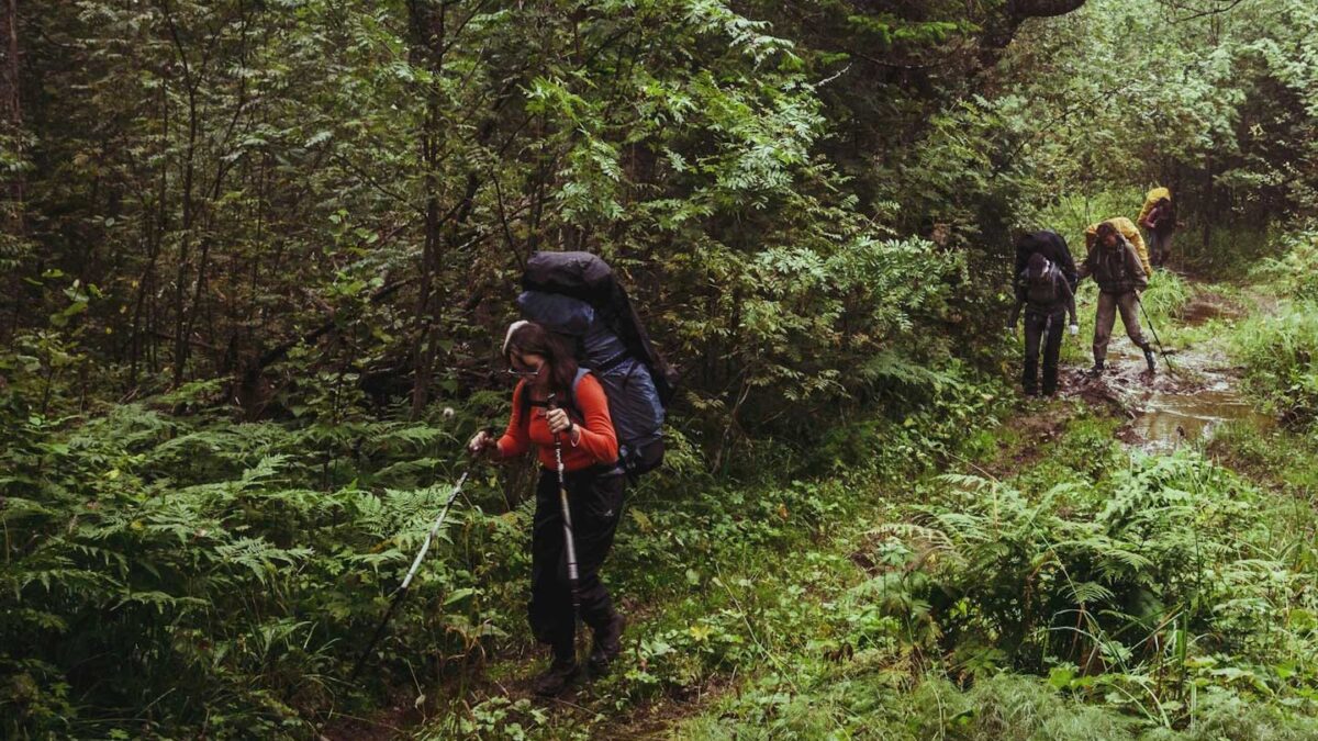 Explore the Ivy River Trail in Nkuringo, Bwindi