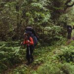 Explore the Ivy River Trail in Nkuringo, Bwindi