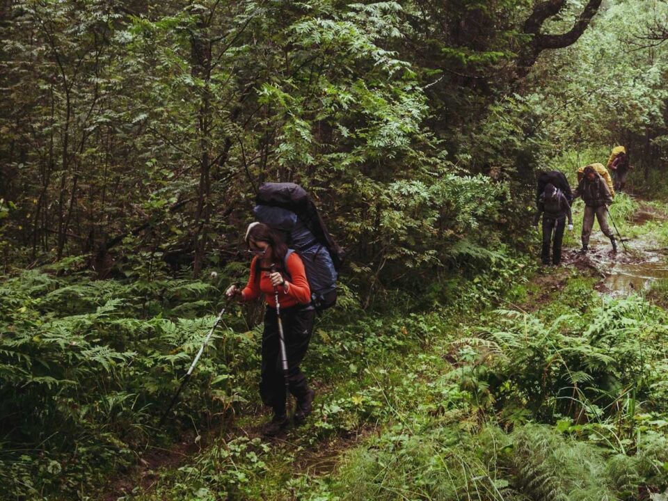 Explore the Ivy River Trail in Nkuringo, Bwindi