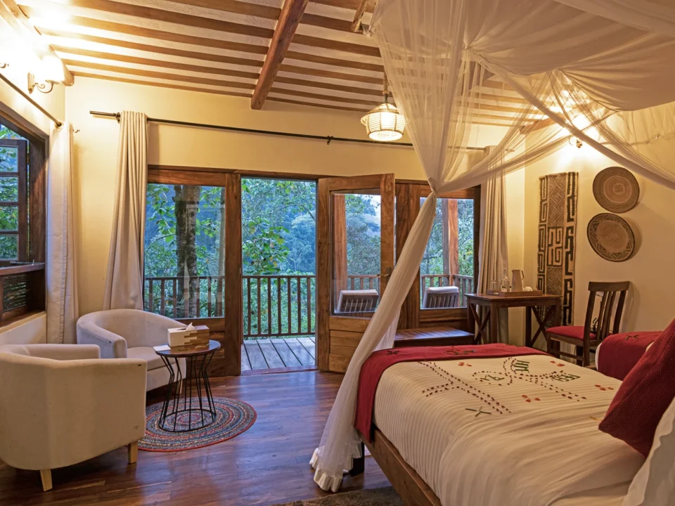 Four Gorillas Lodge