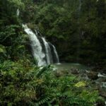 Muyanga Waterfall Hike and Gorilla Trekking in Bwindi