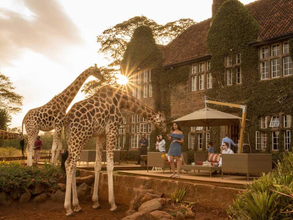 Stay at Giraffe Manor in Nairobi